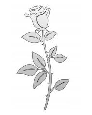 TABLICZKA "UWAGA PIES" 175X300MM